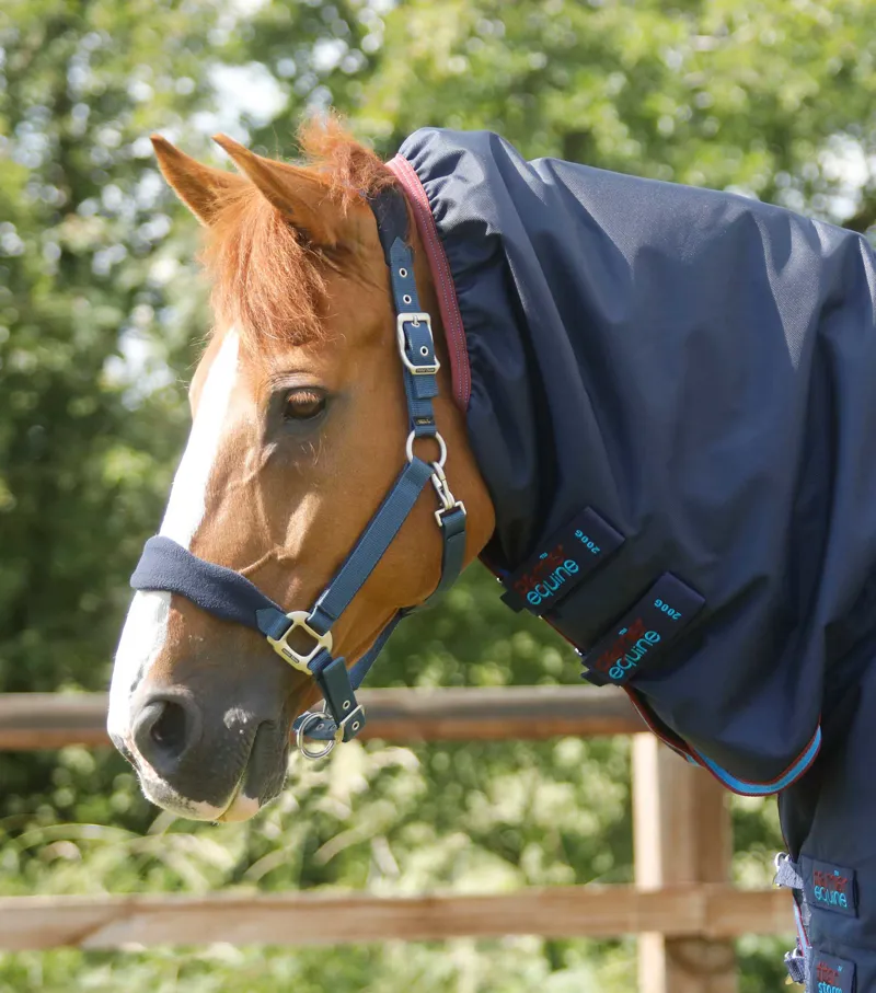 Premier Equine Titan Storm 200g Combo Turnout Rug With Snug-Fit Neck Navy 4 Premier Equine Titan Storm 200g Combo Turnout Rug With Snug-Fit Neck Navy - Image 2