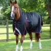 Premier Equine Buster Hardy 400g Half Neck Turnout Rug Black -Equestrian Supplies Shop buster hardy 400 black 1