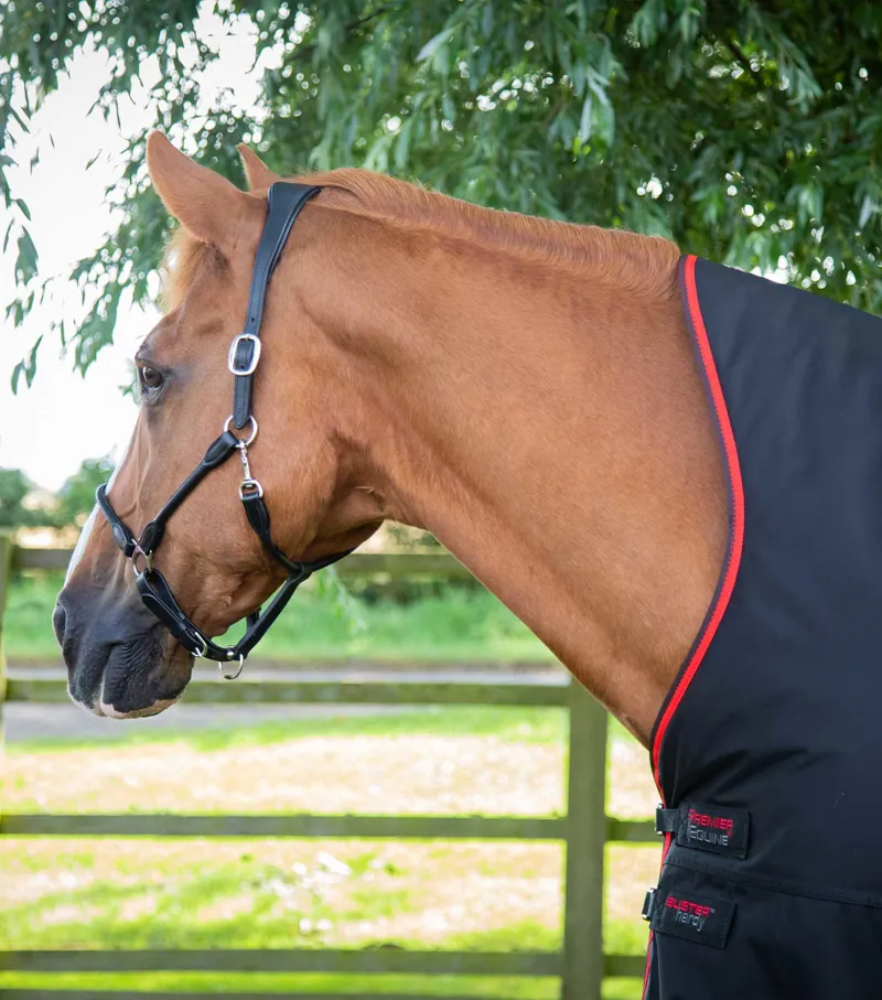 Premier Equine Buster Hardy 400g Half Neck Turnout Rug Black 4 Premier Equine Buster Hardy 400g Half Neck Turnout Rug Black - Image 2