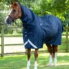 Premier Equine Buster Storm 420g Combo Turnout Rug With Classic Neck Navy 2 Premier Equine Buster Storm 420g Combo Turnout Rug With Classic Neck Navy -Equestrian Supplies Shop buster storm 420 navy 1