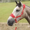 Supreme Products Dotty Fleece Head Collar And Lead Rope In Rosette Red -Equestrian Supplies Shop red 125