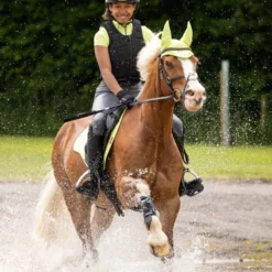 LeMieux Young Rider Short Sleeve Base Layer Kiwi 11 LeMieux Young Rider Short Sleeve Base Layer Kiwi -Equestrian Supplies Shop yG9AA3qk